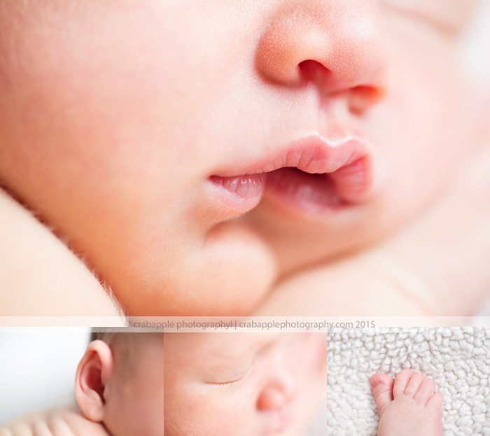 newborn-baby-photos-boston_0130