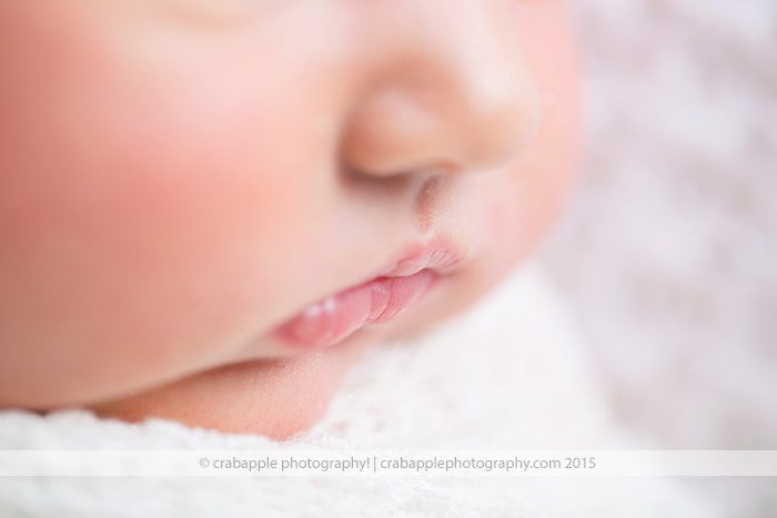 new-hampsire-newborn-baby-photographer_0164