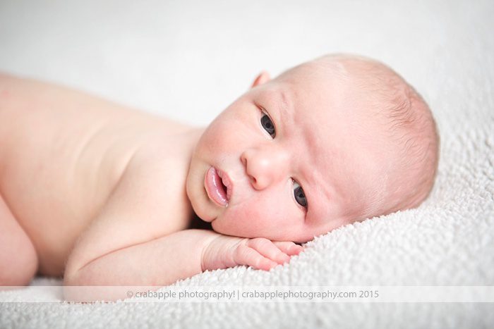 boston-newborn-photographer_0171