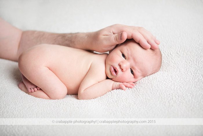 boston-newborn-photographer_0174