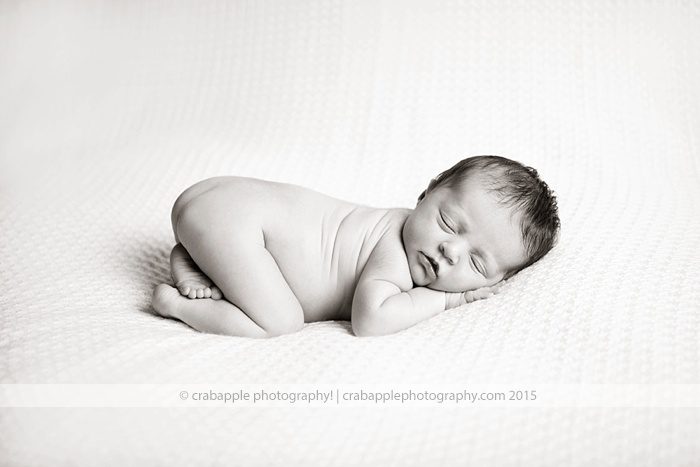 newborn-baby-photos_0186