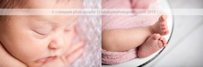 newborn-baby-photos_0189