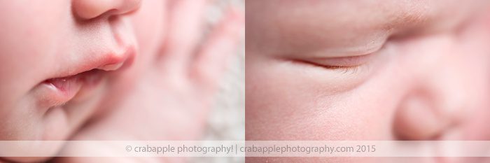 Newborn Baby Photos Massachusetts