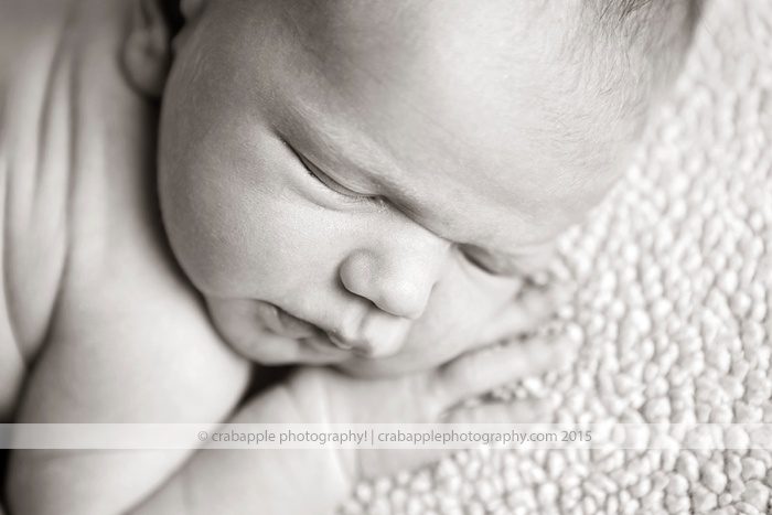 Newborn Baby Photos Massachusetts