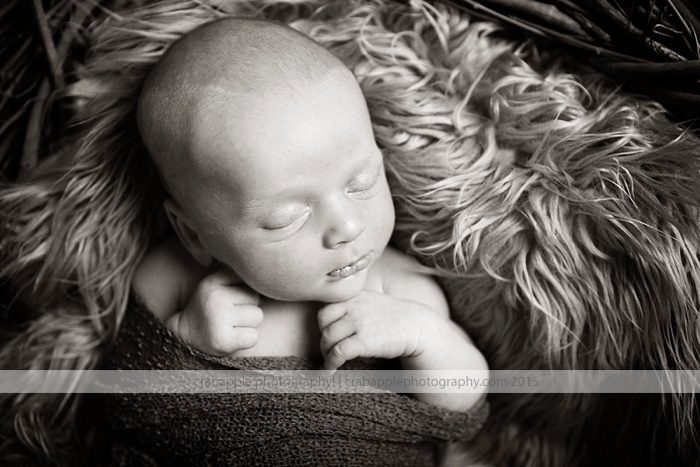 Newborn Photography Boston