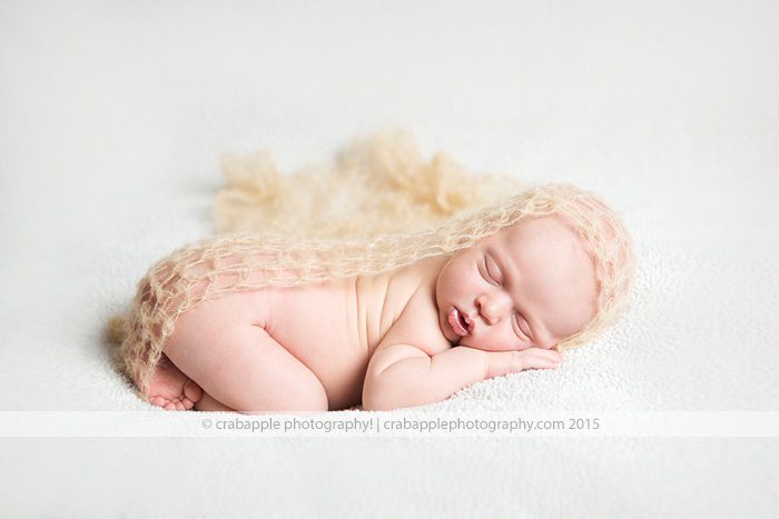 Newborn Photography Boston Crabapple Photography