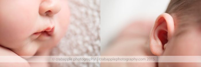 Boston Newborn Photographer 