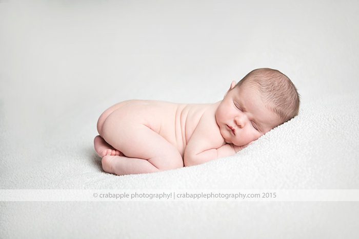 Boston Newborn Photographer 
