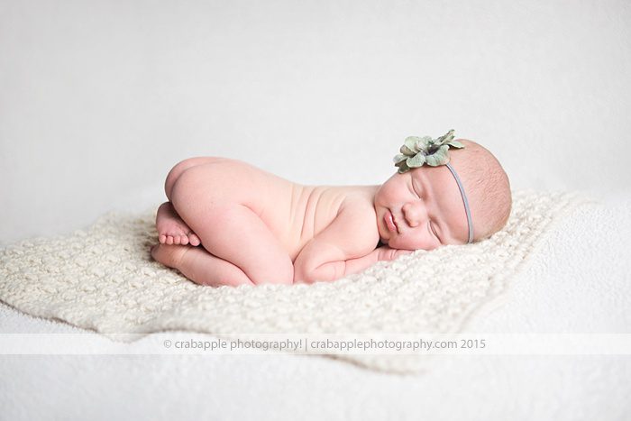 Crabapplel Photography Newborn