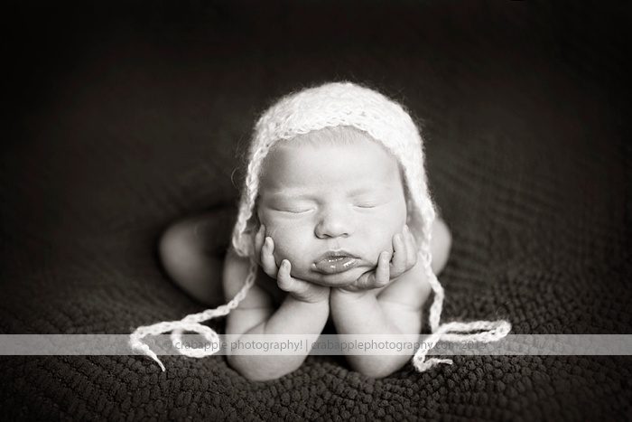 Crabapplel Photography Newborn
