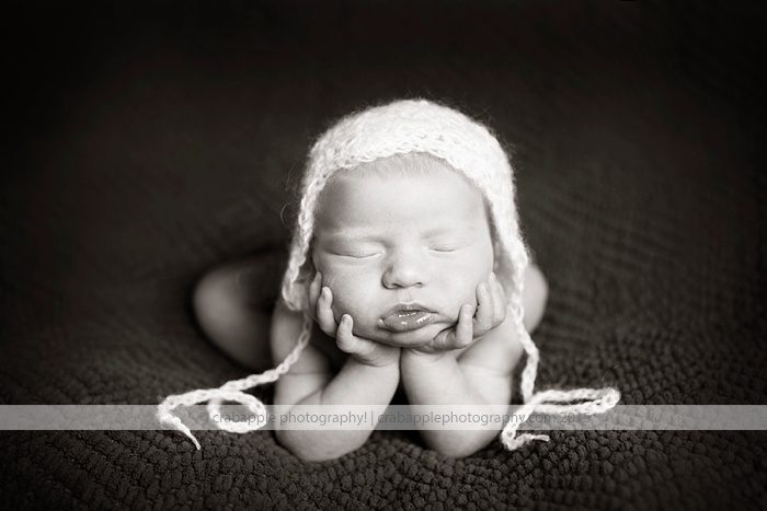 Crabapplel Photography Newborn