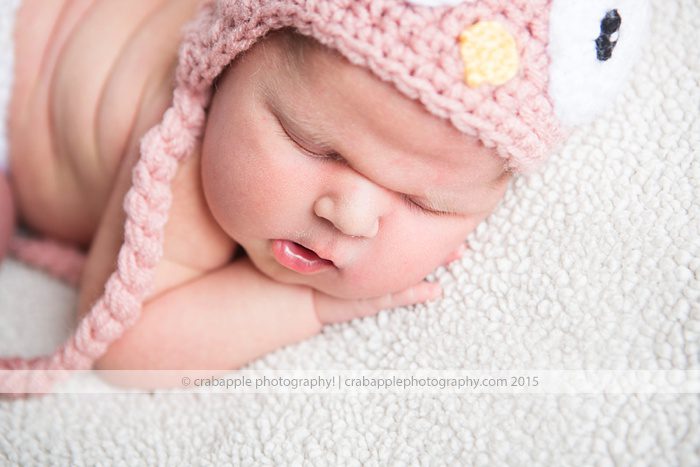 Arlington Newborn Baby Photos
