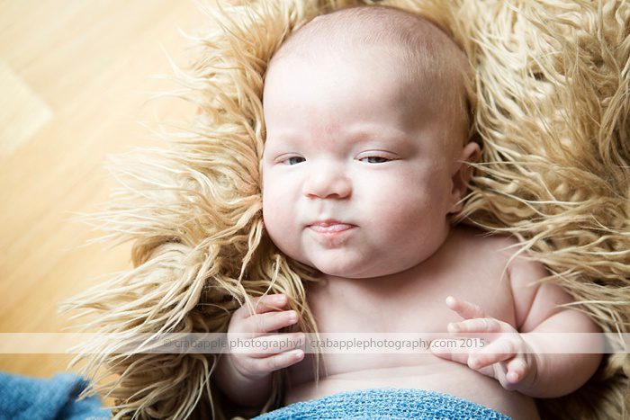 Chelmsford Baby Photographer