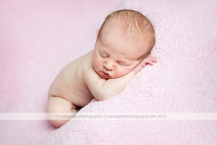framingham newborn photographer