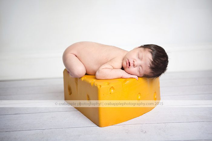 Professional Studio Newborn Photographer