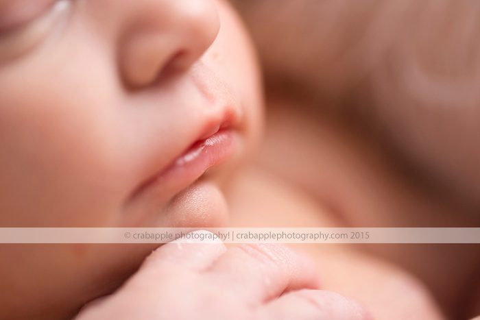 Professional Studio Newborn Photographer