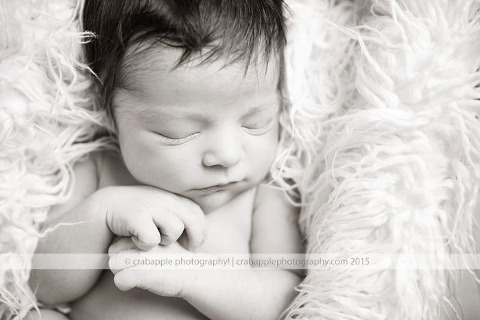 Professional Studio Newborn Photographer