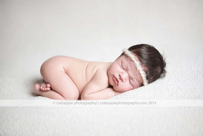 Professional Studio Newborn Photographer