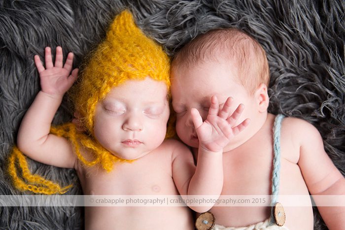 Twin Newborn Photographer Massachusetts