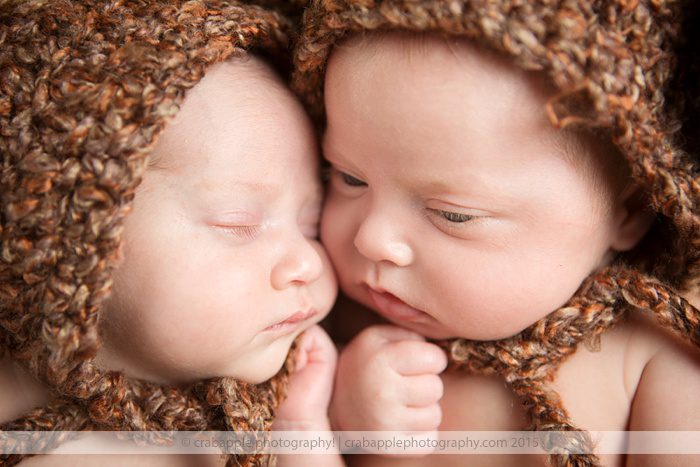Twin Newborn Photographer Massachusetts