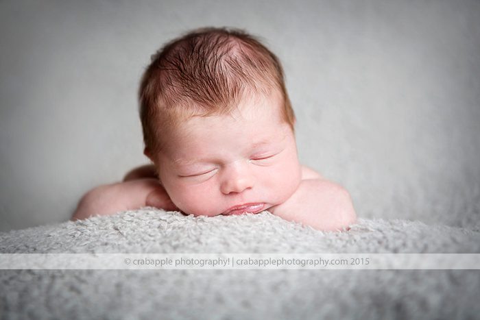Cambridge Newborn Photographer