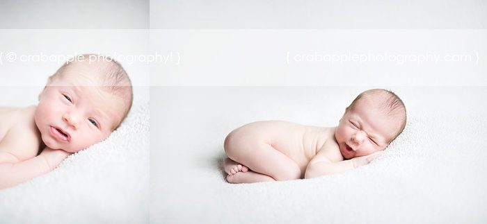andover newborn photographer