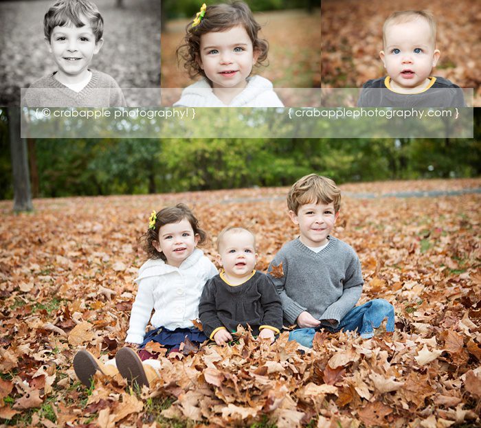 Arlington Fall Family Portraits