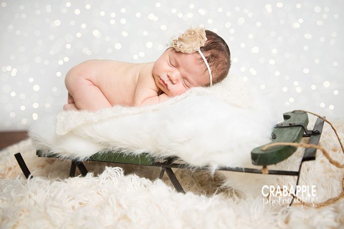 Best Boston Christmas newborn Photographer
