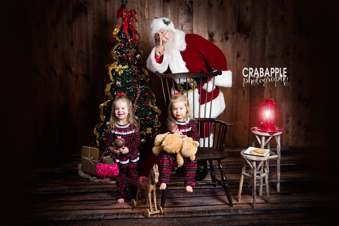Crabapple Photography Christmas Photos