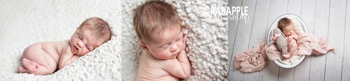 Newborn Baby photos boston