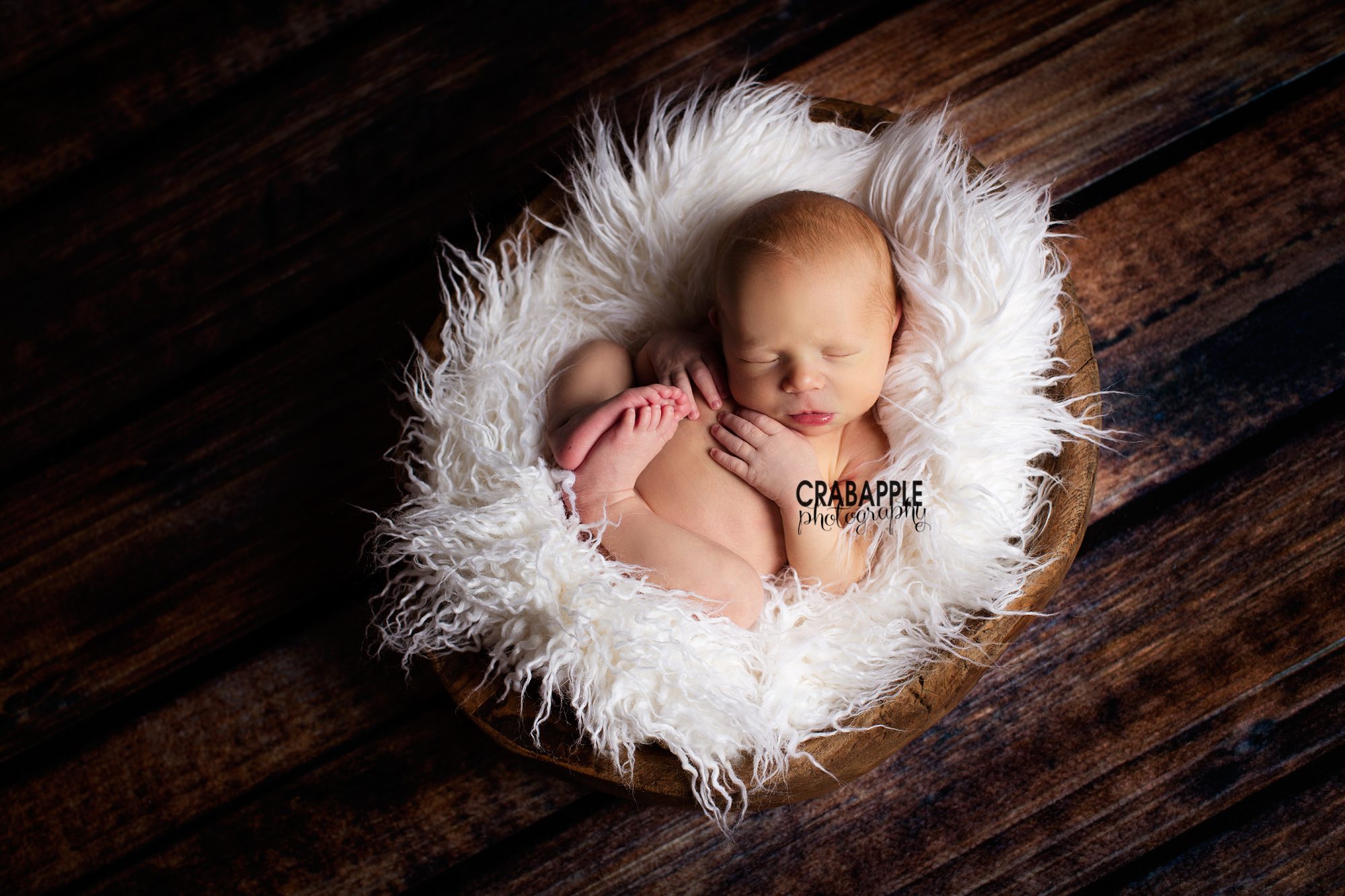 charlestown newborn baby photographer
