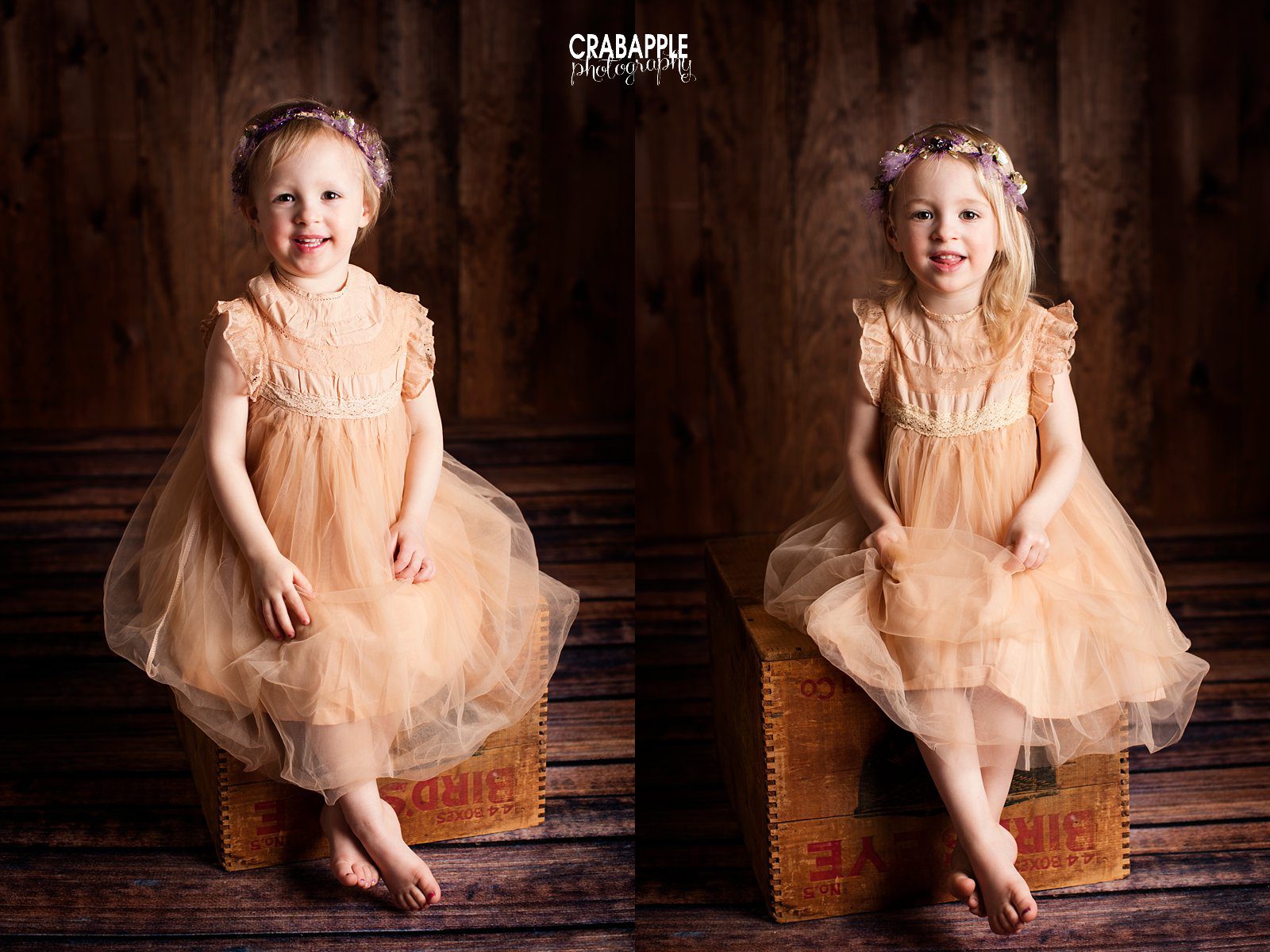 Andover Toddler Photography