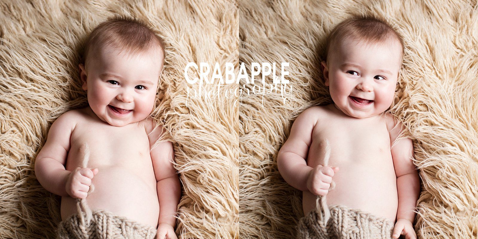 Melrose 6 month old Baby Photographer