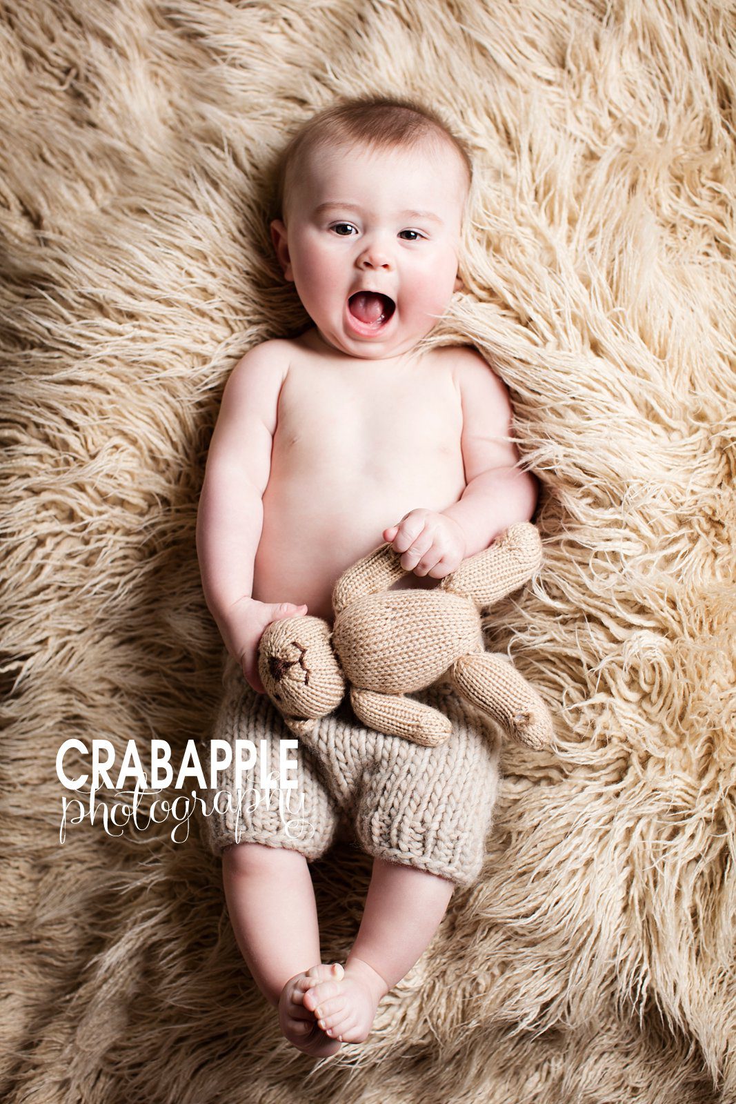 Melrose Baby Photography