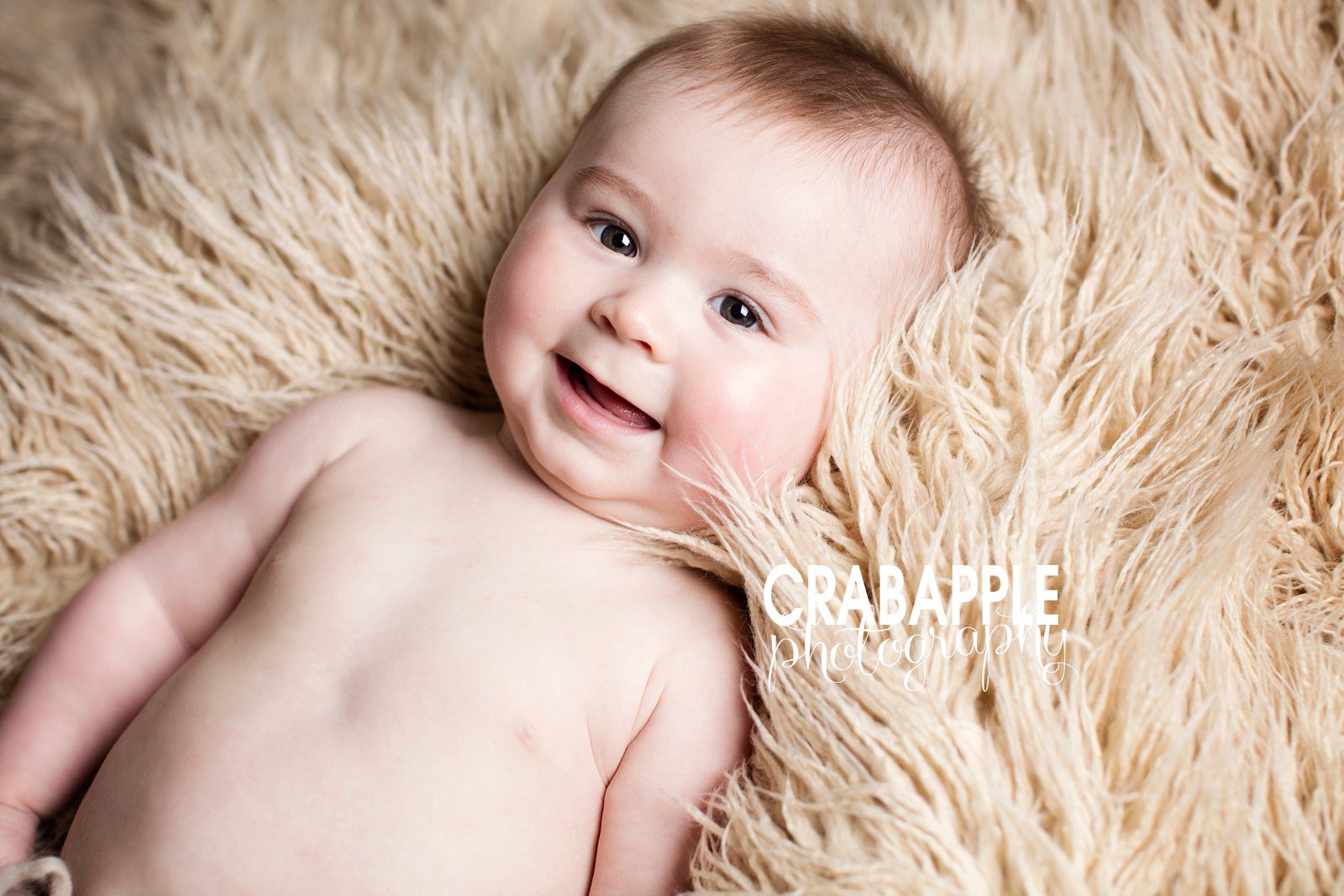 Melrose Baby Portrait Photographer
