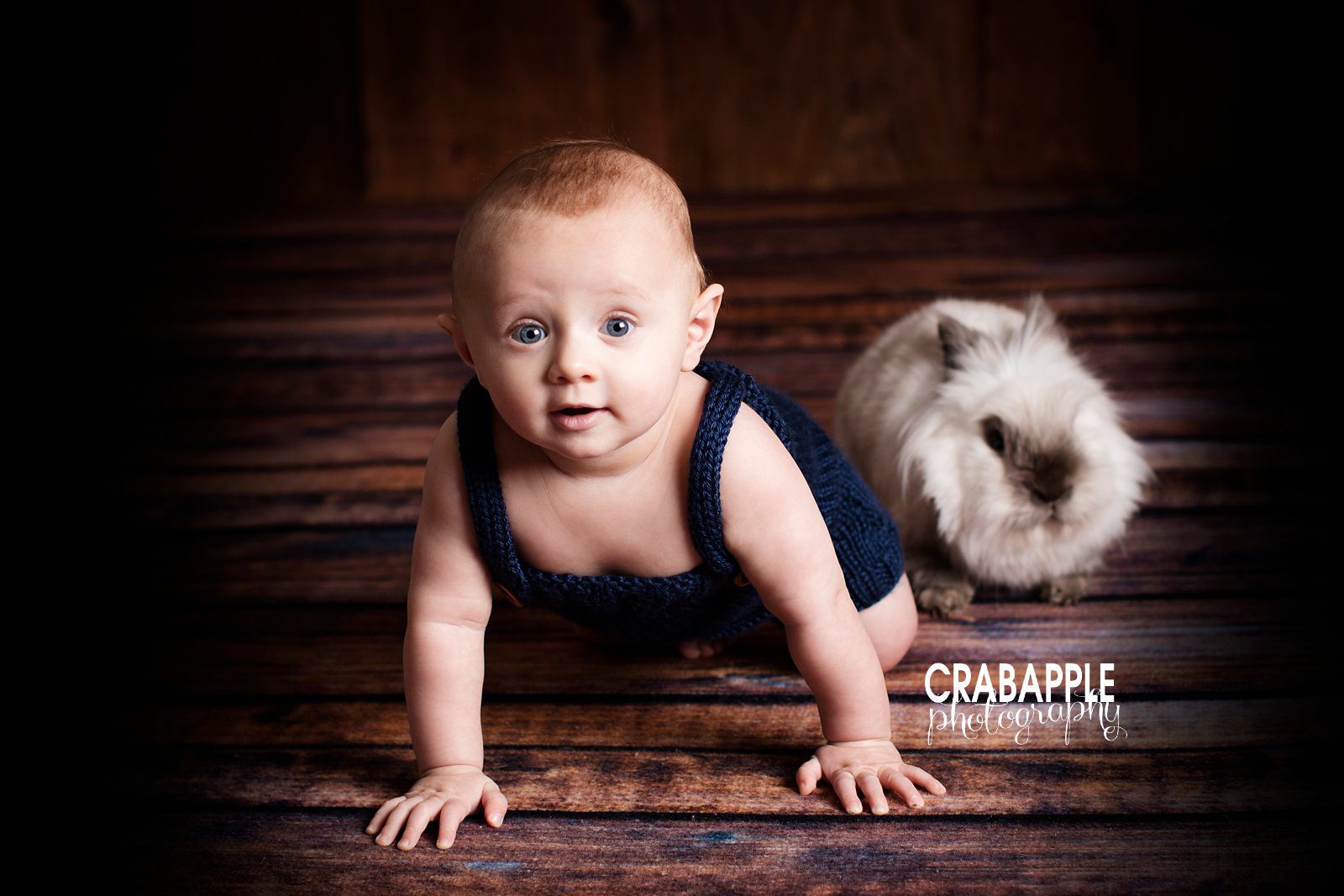 6 month old baby photographer Somerville