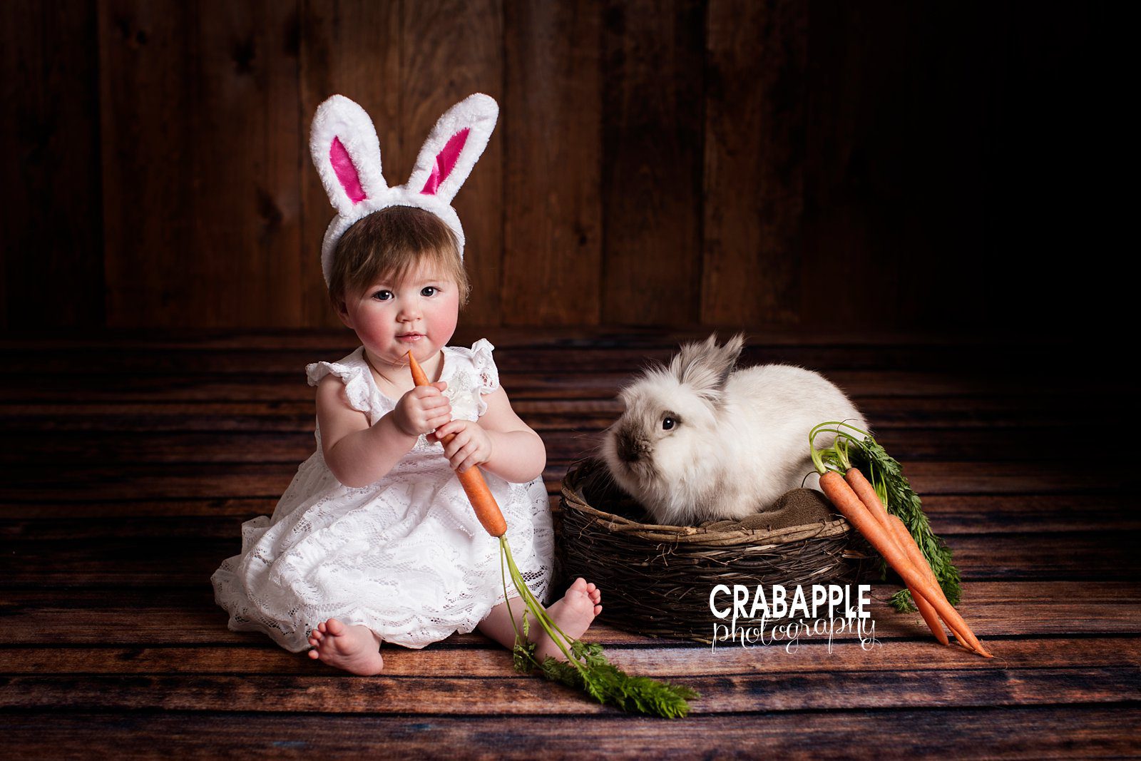 baby photos with Easter bunny