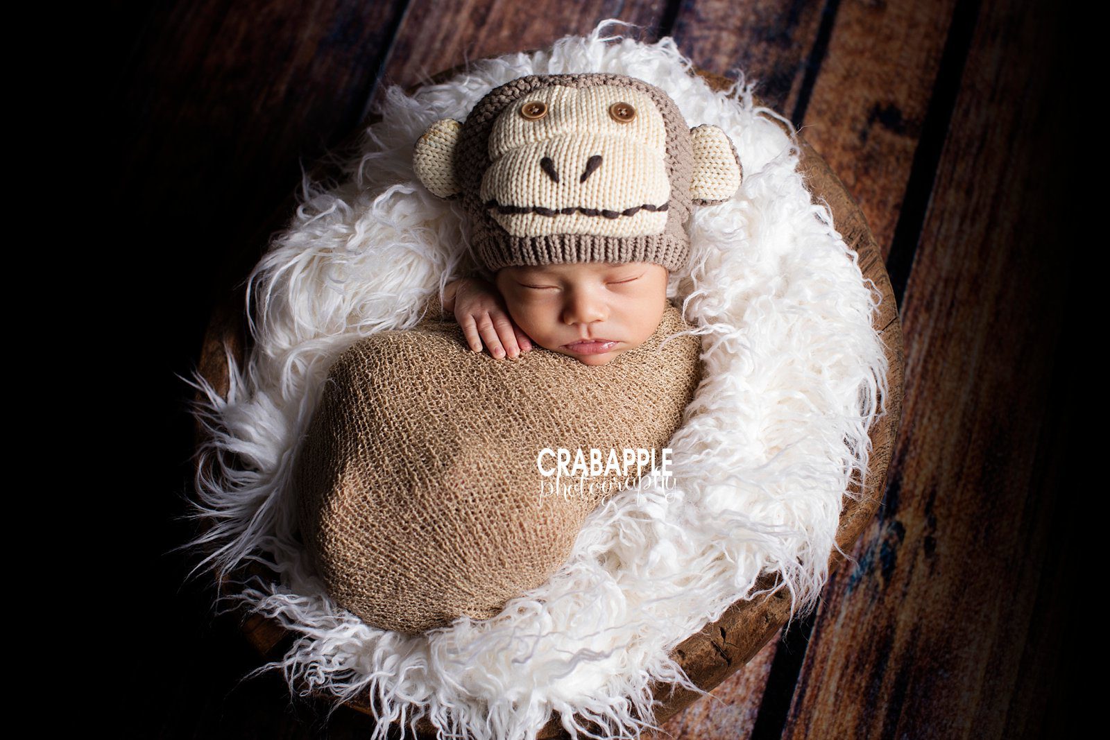 Year of the Monkey Newborn Photographer Boston