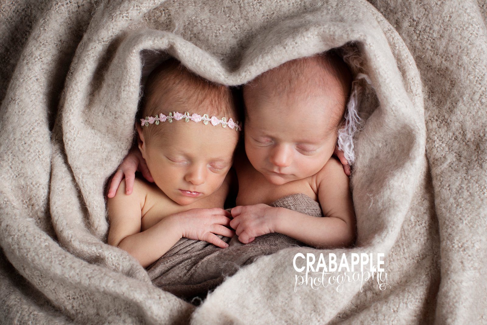 Boston Twin Newborn Photographer