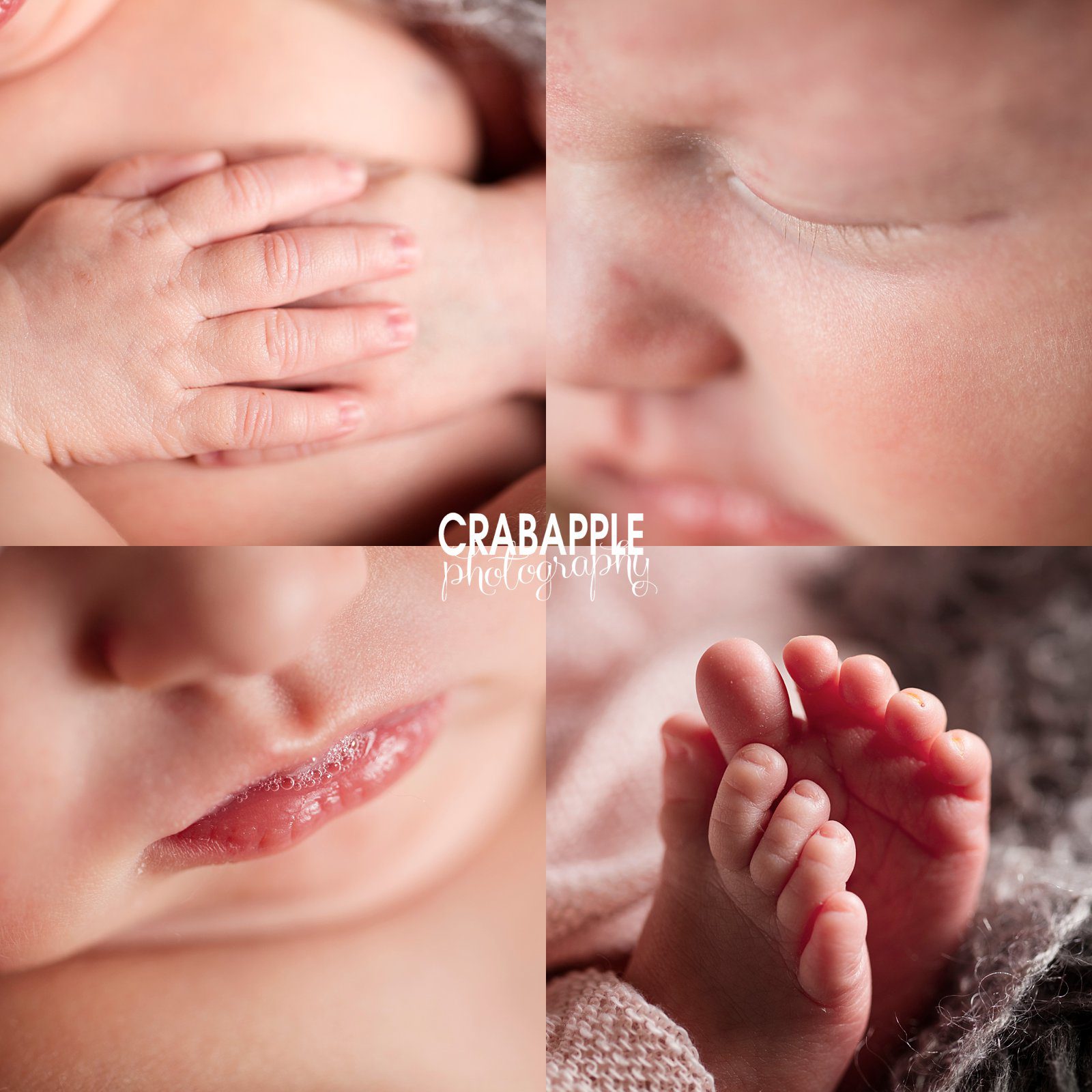 Somerville Newborn Photography