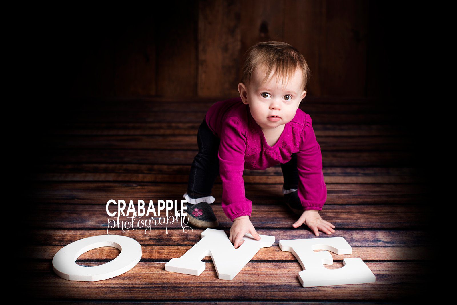 One Year Baby Family Photography