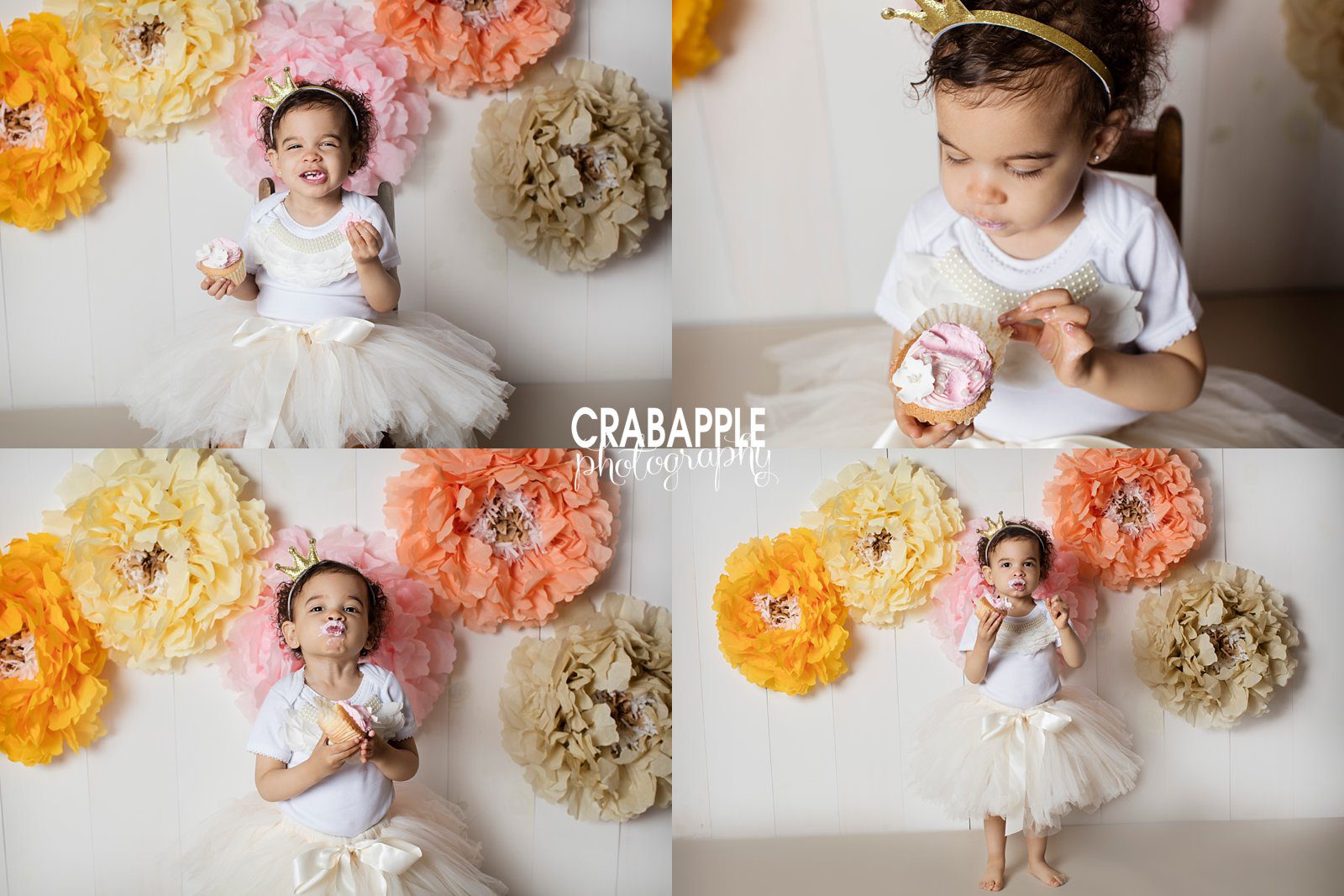 Massachusetts Toddler Cupcake smash Photography