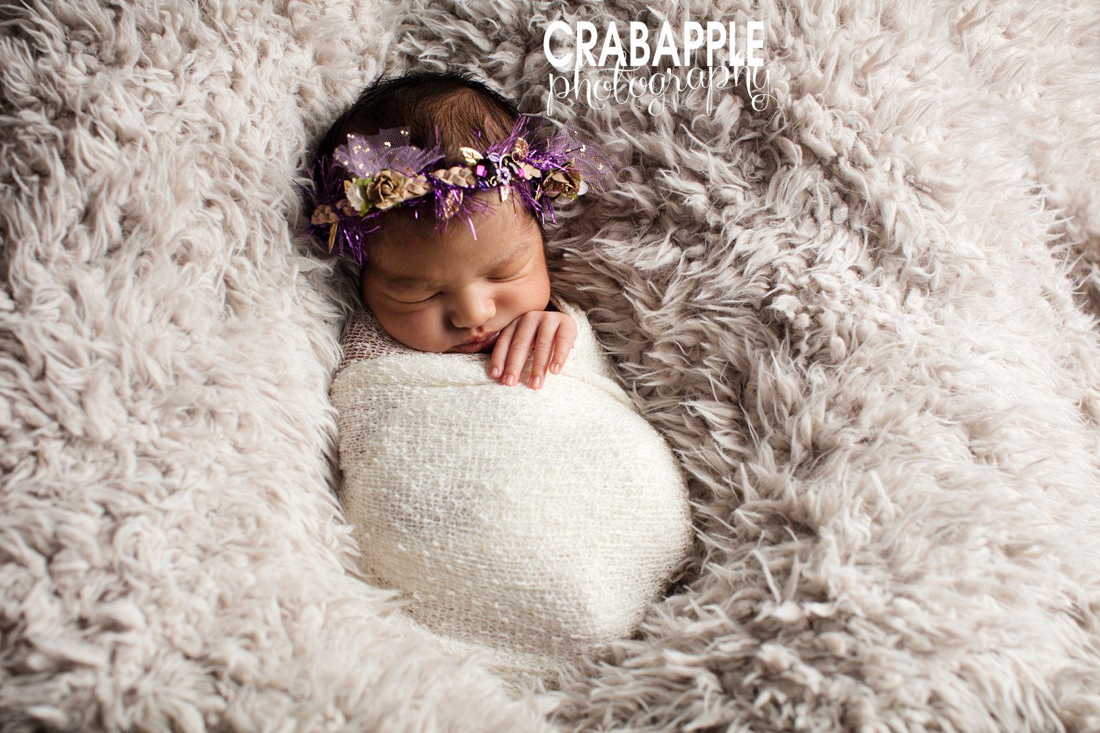 best massachusetts newborn photography