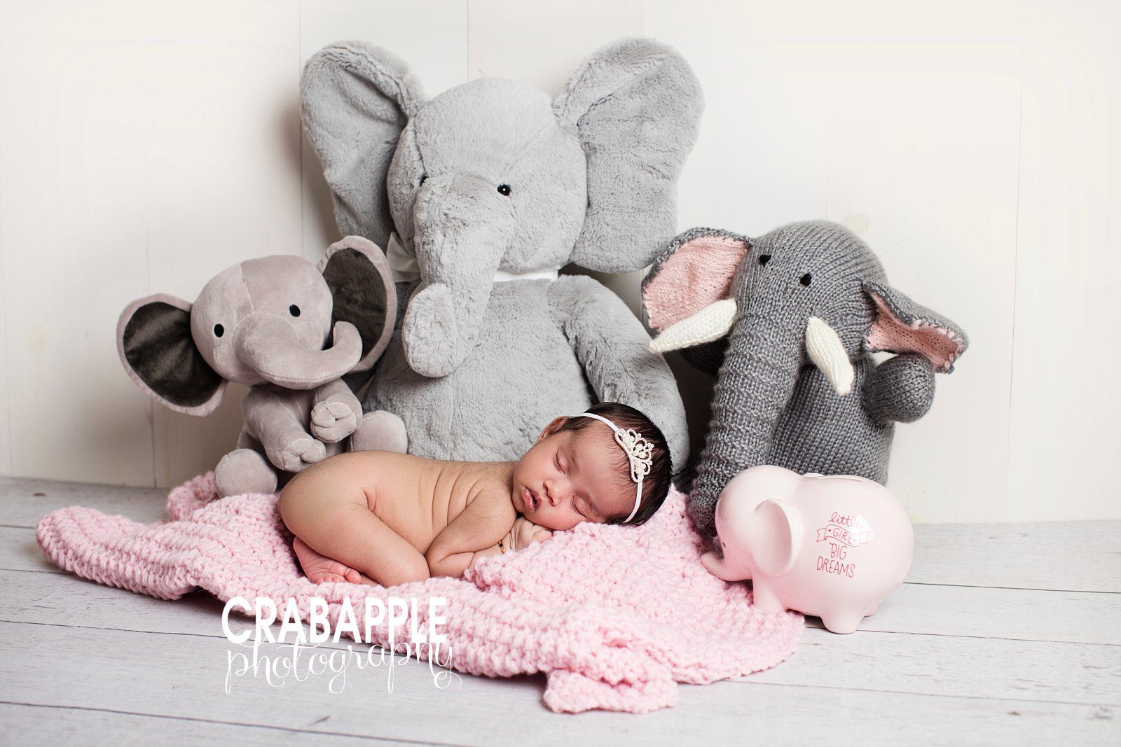newborn portraits using elephants