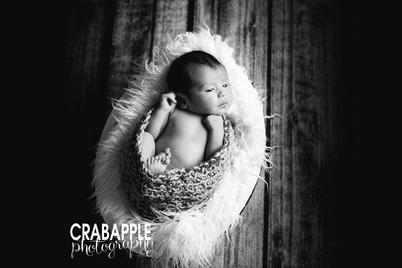 boston black and white newborn photography