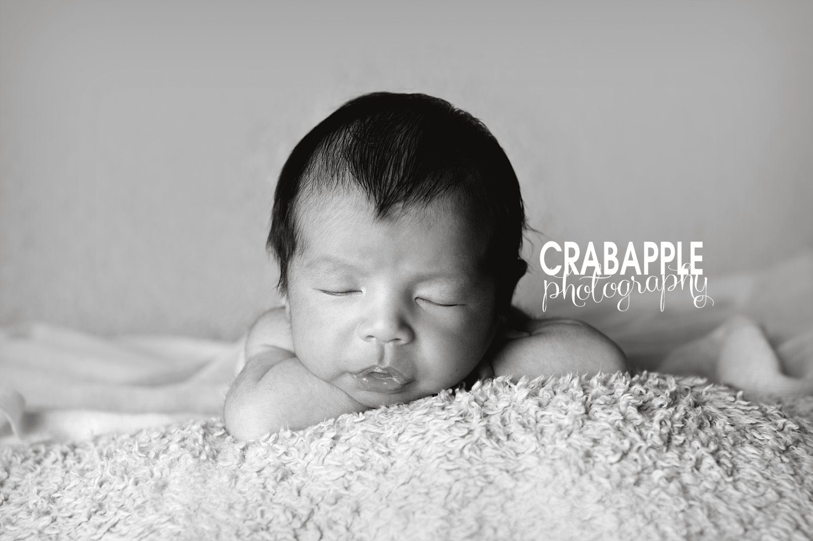 boston newborn baby portraits