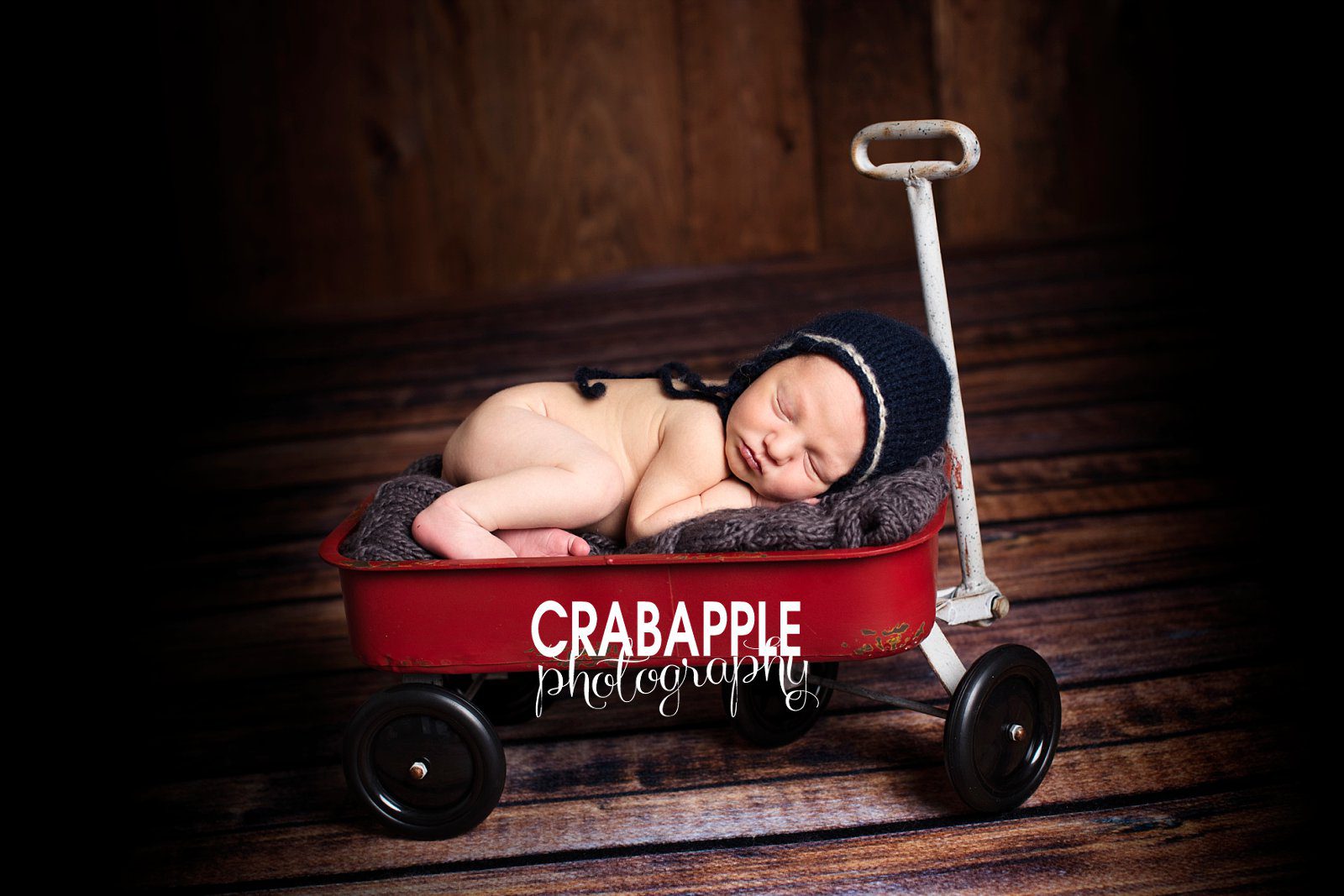somerville new baby photography