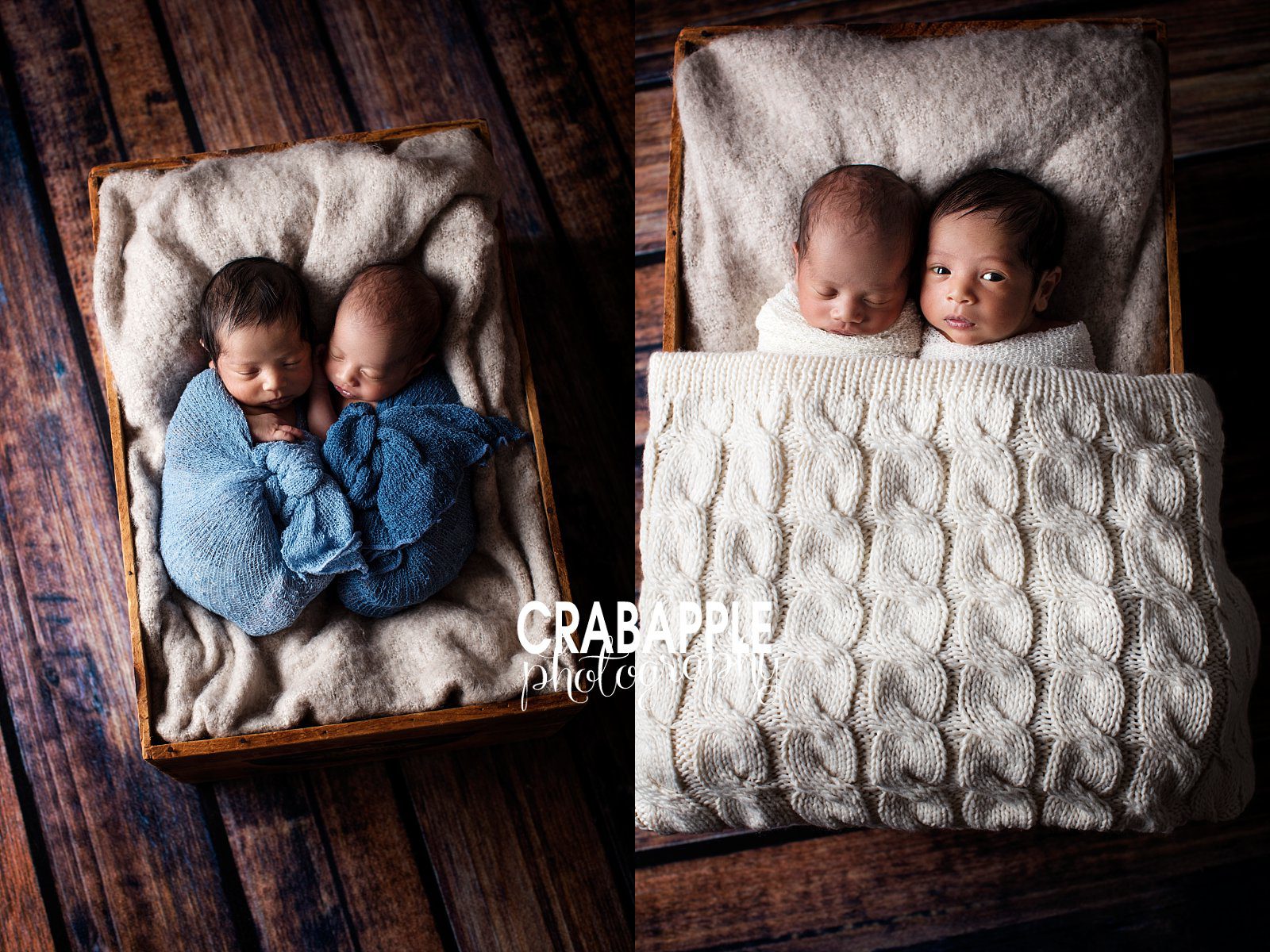 twin baby photography boston