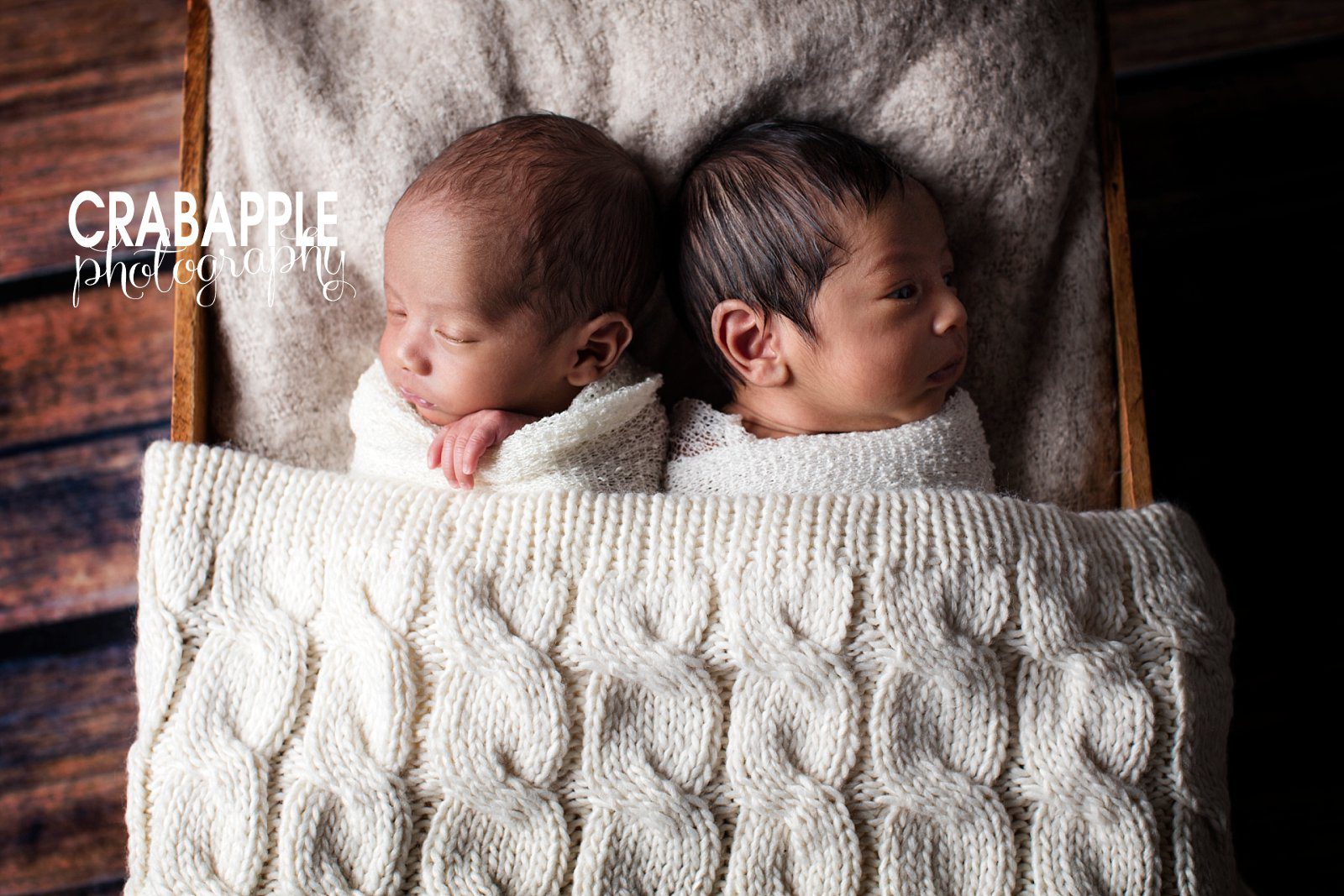 twin newborn photographer boston