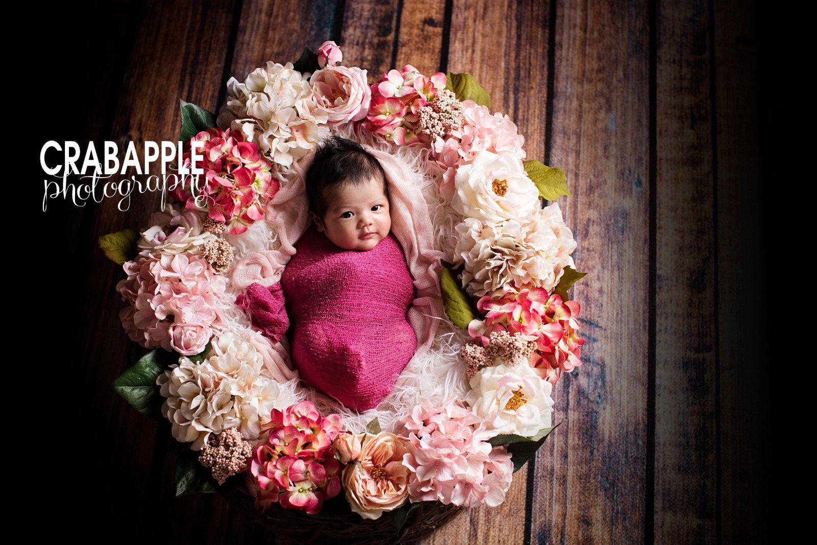 boston baby with props photography